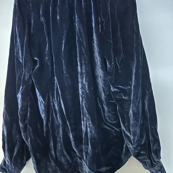 Pilcro Blue Velvet Top L - Picture 2 of 3